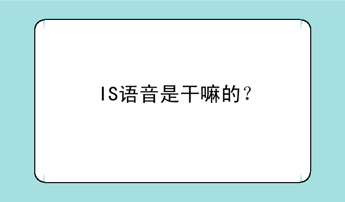 IS语音是干嘛的？