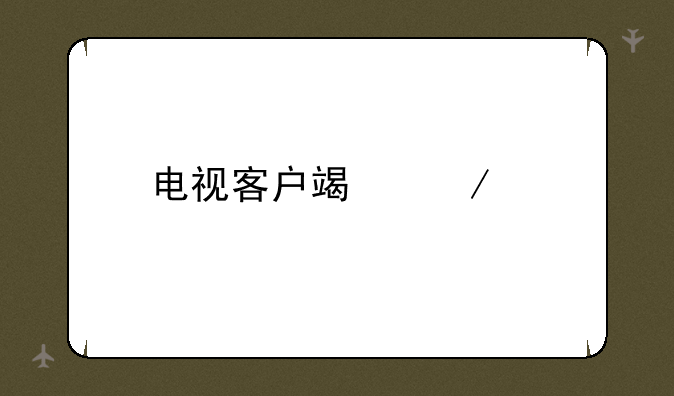 电视客户端下载