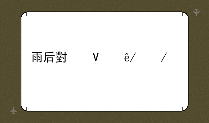 雨后小故事下载