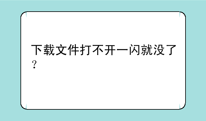 下载文件打不开一闪就没了？