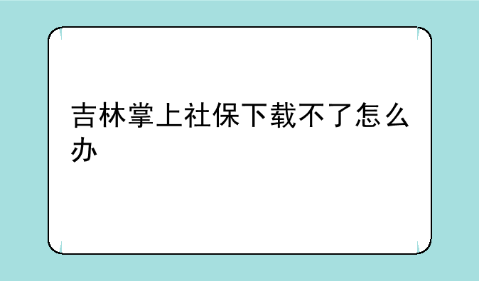 吉林掌上社保下载不了怎么办