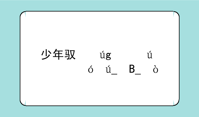 少年驯龙记微氪值得吗？