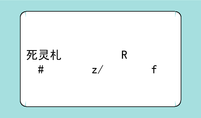 死灵术士用什么类型武器