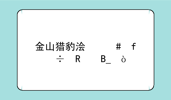 金山猎豹浏览器好用吗？