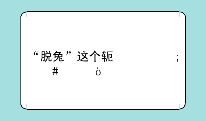 “脱兔”这个软件怎么样？