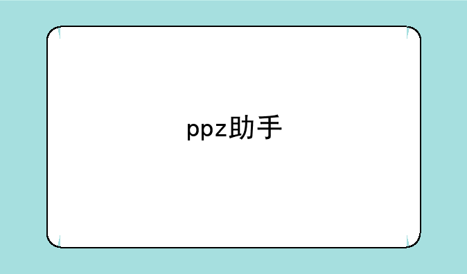 ppz助手